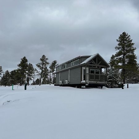 Cozy Cabin By Forest View 4B Williams Kültér fotó