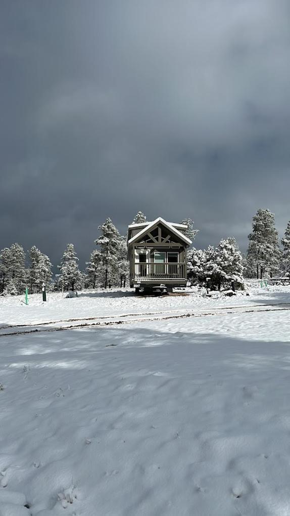 Cozy Cabin By Forest View 4B Williams Kültér fotó